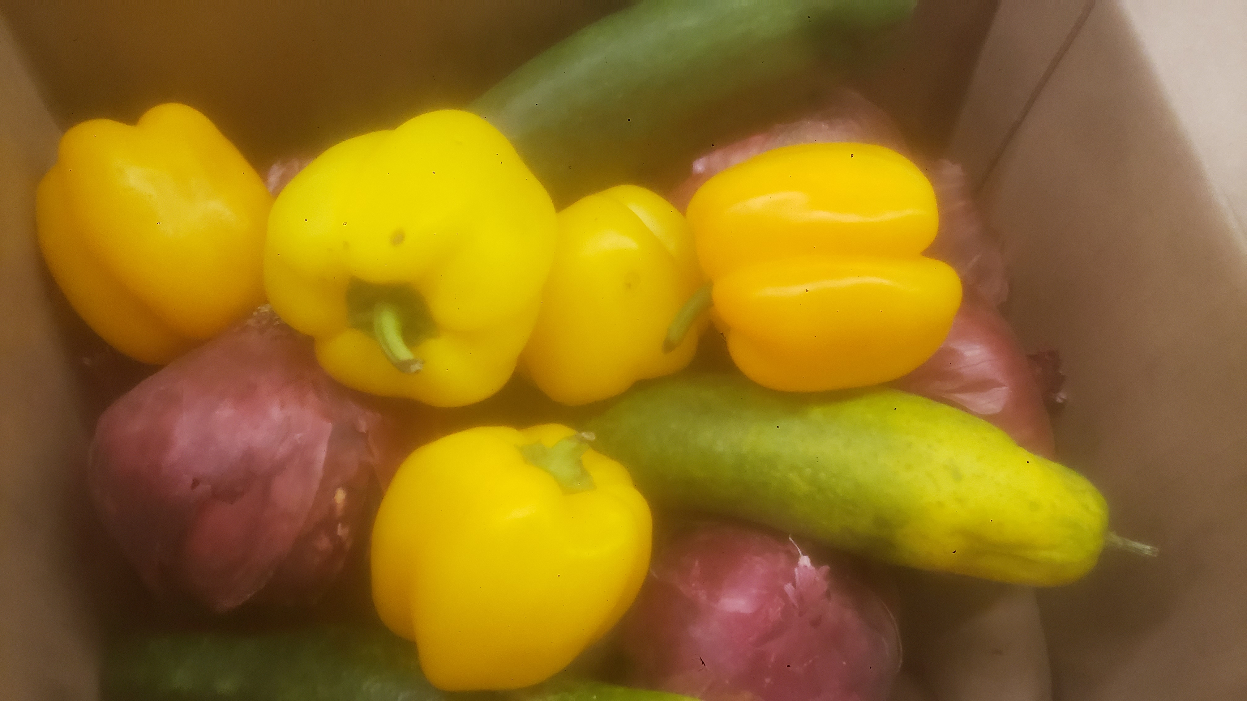 Cardboard box filled with potatoes, yellow bellpeppers, red onions, and cucumbers.